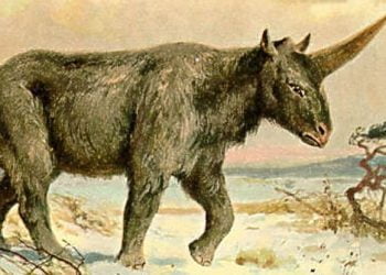 O uncórnio existiu mesmo. E foi nosso contemporâneo