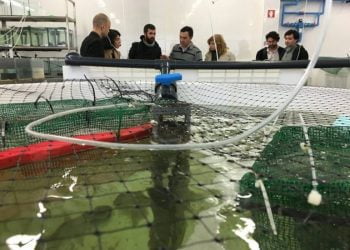 Novo consórcio promove desenvolvimento sustentável da aquacultura