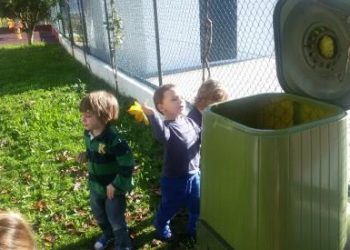 Fundação Ilídio Pinho apoia educação ambiental no pré-escolar