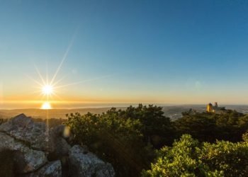 Parques de Sintra recebe certificado internacional de gestão florestal