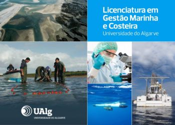 UAlg lança licenciatura em Gestão Marinha e Costeira em Dia Europeu do Mar