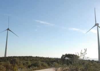 Lena Ambiente e Energia volta a crescer e reduz dívida
