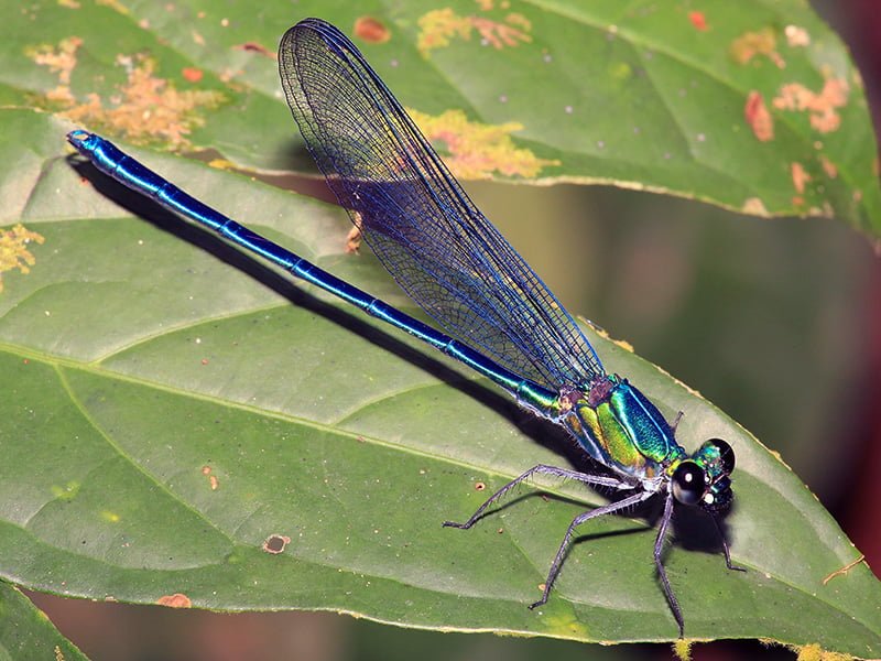 Umma Gumma @Jens Kipping