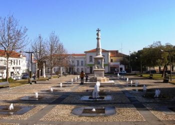 Anadia realiza Feira do Ambiente em junho