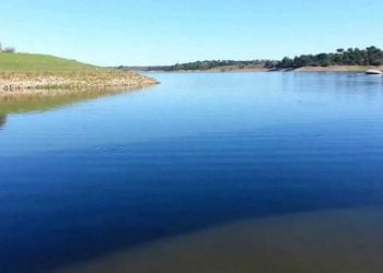 Testes de descarga na barragem de vale de Gaio provocaram a morte de centenas de peixes