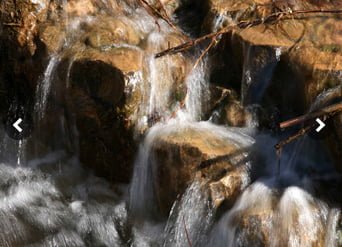 Estação da biodiversidade da ribeira de Quarteira abre ao público