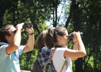 Santa Maria da Feira e Zoo de Lourosa convidam a descobrir o Uíma