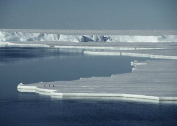 Desaparecimento do gelo ártico alterará o clima no hemisfério Norte