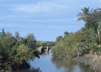 TPF Planege prossegue trabalhos em Moçambique