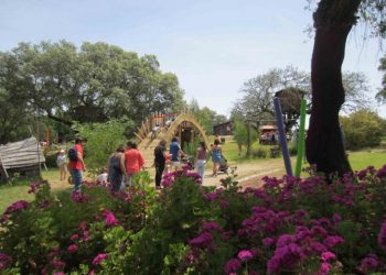 Monte Selvagem assinala mês da Conservação da Biodiversidade com jogos educativos