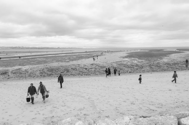 Rios com vida - Inês Sarzedas