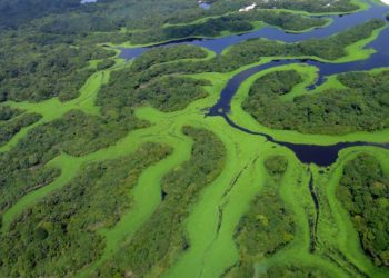 Prémio Calouste Gulbenkian 2016 é hoje entregue em Lisboa à Fundação Amazonas