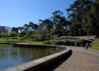 Porto convida famílias a saber mais sobre os “Insetos na Cidade”