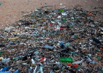 Geota: as praias portuguesas estão cheias de lixo, mas só é visível no inverno