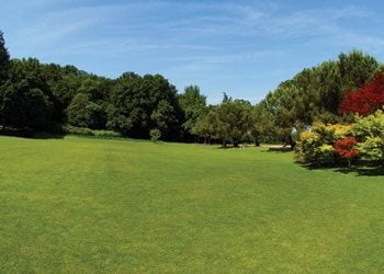 Safina: Uma solução prática amiga do ambiente