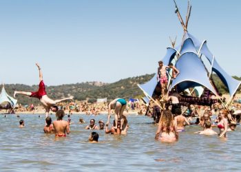 Boom Festival refloresta Herdade da Granja