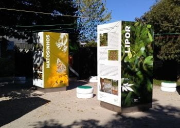 Parque Aventura com atividades todos os fins de semana durante o verão