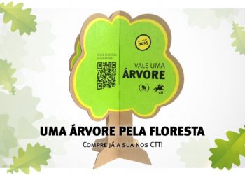 Quercus e CTT estendem Projeto de Reflorestação à Madeira