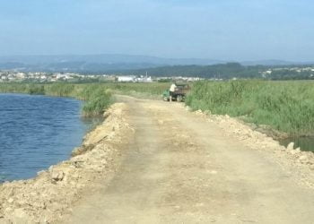 Estarreja: Concluído arranjo das margens