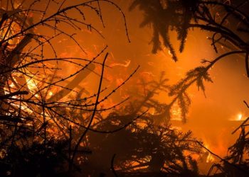 Proteção Civil Municipal alerta população para risco de incêndios