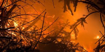 Proteção Civil Municipal alerta população para risco de incêndios