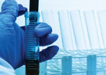 No Centro Bio, há vida para lá dos fogos florestais