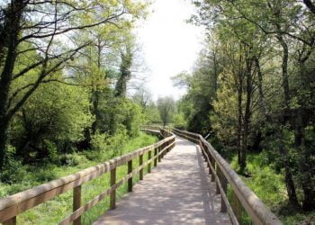 Labirinto Eco-Sensorial no Parque das Ribeiras do Uíma