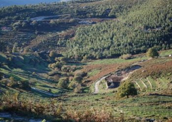 Algarve: paisagem verde da serra pode ser imagem do passado