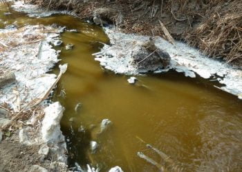 Quercus acusa Ministério do Ambiente de não impedir descargas na Ribeira da Boa Água