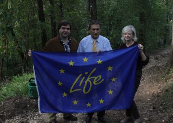 Administradora do Grupo JMV planta árvore na Mata do Buçaco