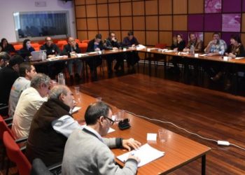 Loulé faz balanço dos incêndios florestais de 2016