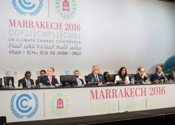COP22: Esforço global para proteger e gerir florestas de forma sustentável
