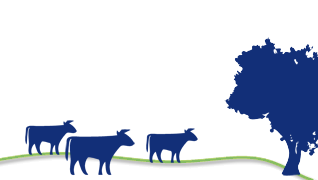 NitroPortugal quer ajudar a reduzir as emissões de azoto