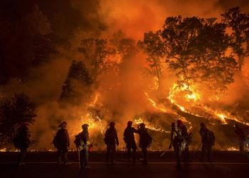 Petição pela defesa da Força Aérea a combater fogos florestais vai a Plenário