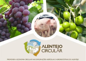 ISQ anuncia projeto Alentejo Circular