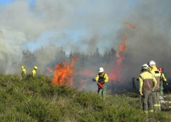 Porto de Mós investe na prevenção dos incêndios