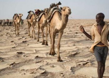 Etiópia está a enfrentar nova seca e pede ajuda para cinco milhões de pessoas