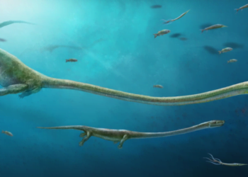 Quem diria que há mais de 245 milhões de anos um réptil já dava à luz