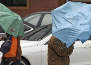 Registadas 62 ocorrência relativas a quedas de árvores e estruturas devido ao mau tempo