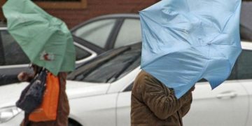 Registadas 62 ocorrência relativas a quedas de árvores e estruturas devido ao mau tempo