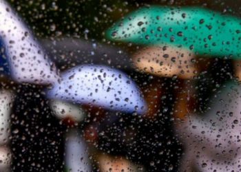 Proteção Civil regista mais de 500 ocorrências até às 07 horas