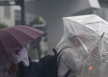 Queda de árvores e cortes de eletricidade sobretudo no norte do país devido ao mau tempo