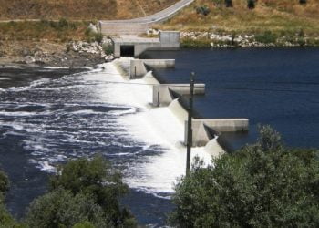 Tejo pintado de negro e espuma branca