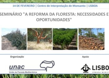 UNAC debate “A reforma da floresta: necessidades e oportunidades”