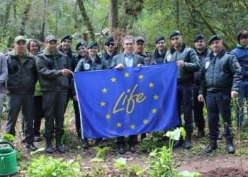 Mais de uma centena de árvores plantadas no Bussaco