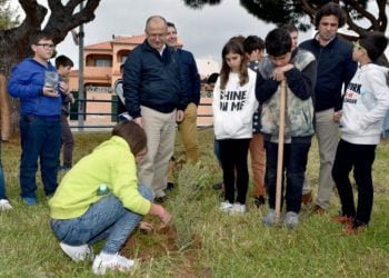 Loulé vai plantar mil árvores até ao final do ano