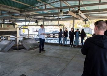 Melgaço convida alunos a plantar uma árvore