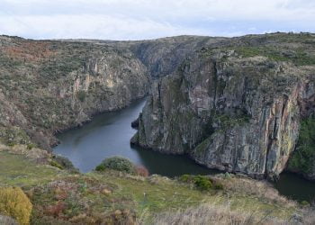 Equipa cinoténica no terreno para detetar venenos no Douro Internacional