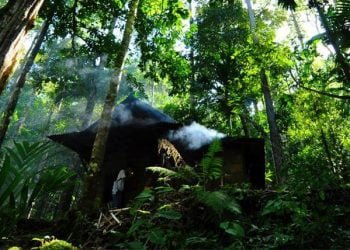 Subscritoras do Compromisso FLORESTA2030 disponíveis para colaborar com Governo