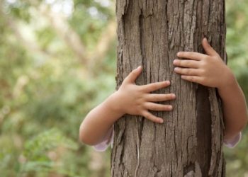 Mais de dois mil alunos de Arcos de Valdevez vão dar um “Abraço à Floresta”